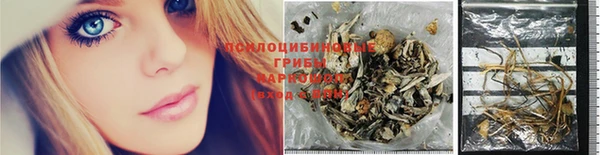 МДПВ Россошь