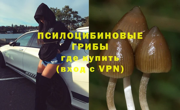 круглые Аркадак