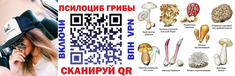 где купить наркотик  Болхов  Псилоцибиновые грибы прущие грибы 